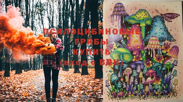 метадон Баксан