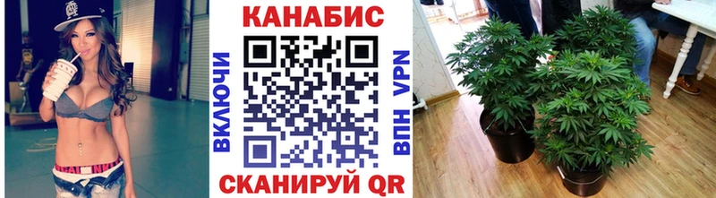 Марихуана SATIVA & INDICA  дарнет шоп  Верхняя Салда 